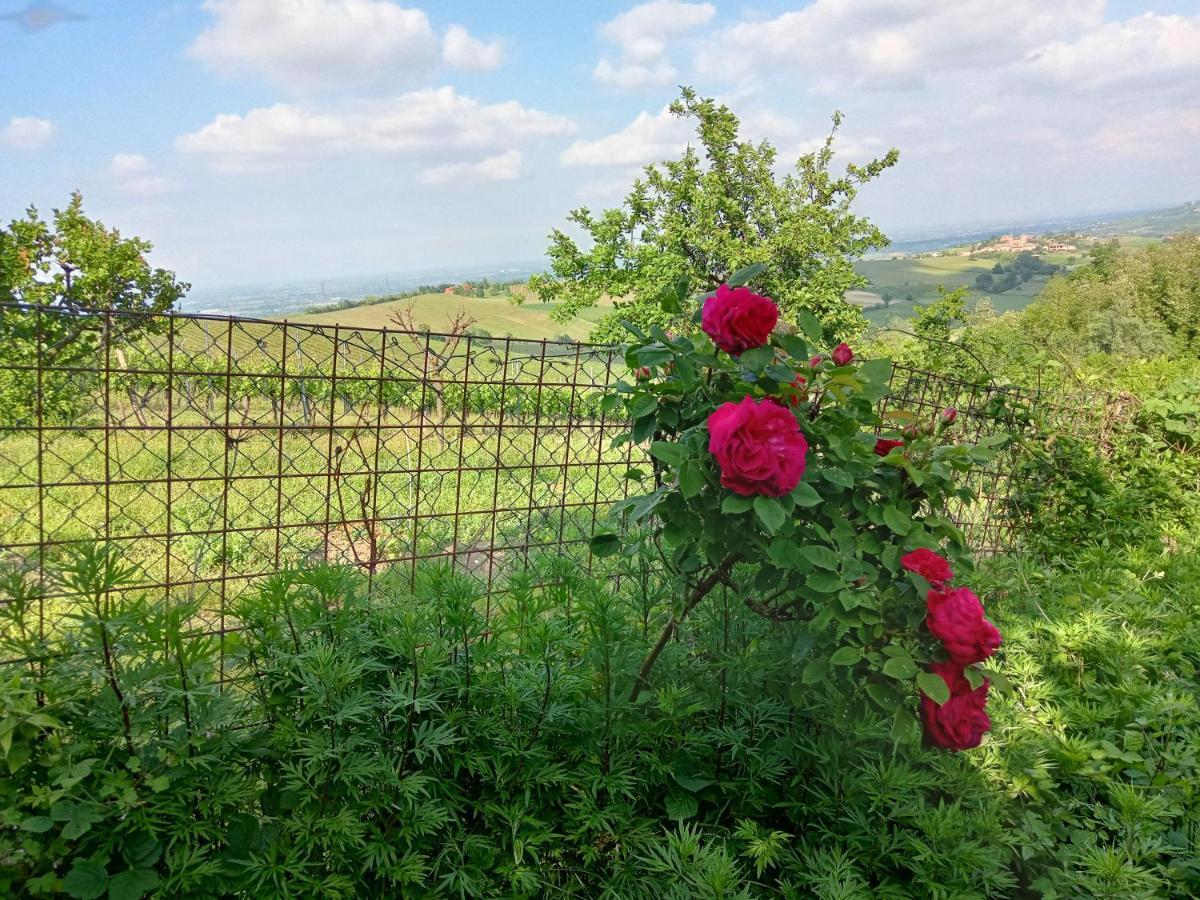 Morelli House Guest House Montalbo Luaran gambar